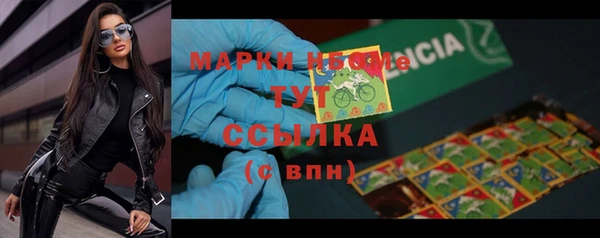 прущие грибы Баксан