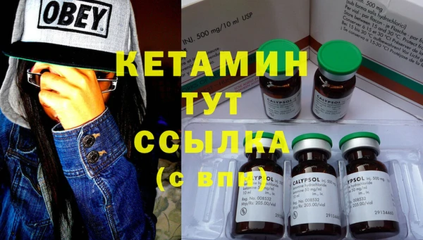 прущие грибы Баксан