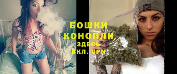 прущие грибы Баксан